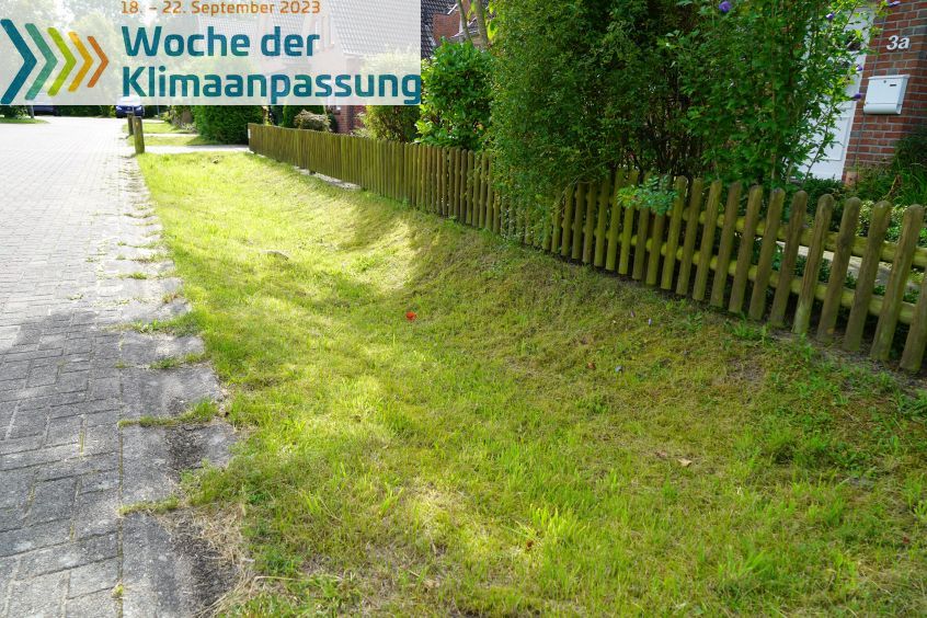 Read more about the article Regenwasser in den Boden 21.9.2023 17:30 und 19 Uhr